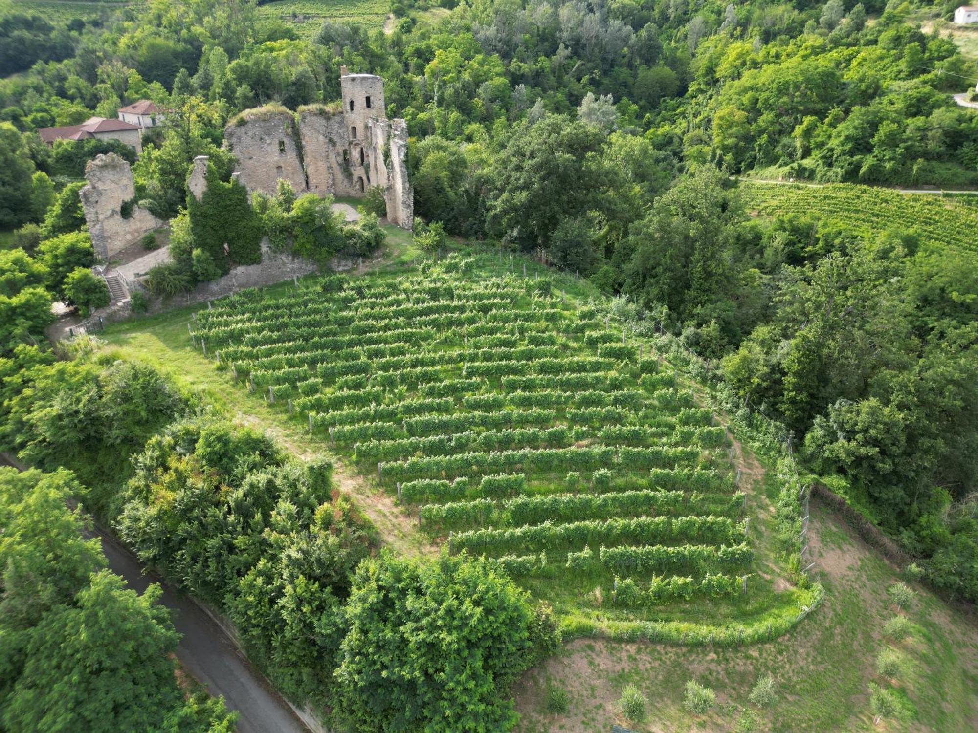Villa Gelso Vesime Экстерьер фото